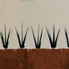 La imagen 1 de la Empresa MALLAS ESTRELLA Puertas y Ventanas en Chihuahua MEX