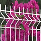 La imagen 2 de la Empresa MALLAS ESTRELLA Puertas y Ventanas en Chihuahua MEX