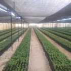 La imagen 6 de la Empresa MALLAS & PLASTICOS DEL PACIFICO Sistemas y Equipos de Riego en Tepic NAY