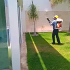 La imagen 1 de la Empresa MANEJO INTEGRADO DE PLAGAS FUMIPLAG Servicios Profesionales y de Negocios en Leon GUA