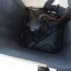 La imagen 8 de la Empresa MAREGO VERACRUZ Servicios Profesionales y de Negocios en Veracruz VER