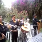 La imagen 2 de la Empresa MARIACHI EL COLOR DE MÉXICO Organización y Realización de Fiestas y Eventos en Azcapotzalco MEX