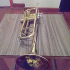 La imagen 1 de la Empresa MARIACHI SOL DE JALISCO Grupos e Instrumentos Musicales en Saltillo COA