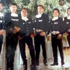 La imagen 2 de la Empresa MARIACHI TREBOL Grupos e Instrumentos Musicales en Queretaro QUE