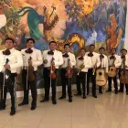 La imagen 3 de la Empresa MARIACHIS LOS CARDENALES Grupos e Instrumentos Musicales en Villahermosa TAB
