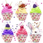 La imagen 1 de la Empresa MARKIVER Venta y Fabricación de Calzado en Torreón COA