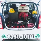 La imagen 1 de la Empresa MARRO KING CONTROL DE PLAGAS Servicios Profesionales y de Negocios en Monterrey NLE