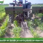 La imagen 2 de la Empresa MAXCOMPOST FERTILIZANTE ORGANICO Industrias y Agricultura en Gómez Palacio DUR