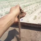 La imagen 11 de la Empresa MAXCOMPOST FERTILIZANTE ORGANICO Industrias y Agricultura en Gómez Palacio DUR