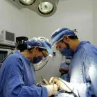 La imagen 1 de la Empresa MÉDICA DEL BOSQUE Salud y Medicina en Queretaro QUE