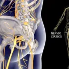 La imagen 2 de la Empresa MEDICINA ORTOMOLECULAR Y QUIROPRÁCTICA Salud y Medicina en Queretaro QUE