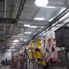 La imagen 1 de la Empresa METAL PANEL Industrias y Agricultura en Tijuana BCN