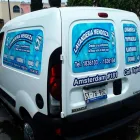 La imagen 3 de la Empresa MGS PUBLICIDAD Servicios Profesionales y de Negocios en Querétaro QUE