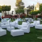 La imagen 2 de la Empresa MINIMALIA Servicios Profesionales y de Negocios en Querétaro QUE