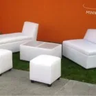 La imagen 4 de la Empresa MINIMALIA Servicios Profesionales y de Negocios en Querétaro QUE