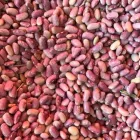 La imagen 3 de la Empresa MORALES GOURMET Fabricantes, Mayoristas y Distribuidoras de Alimentos y Bebidas en Mexico CMX