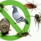 La imagen 1 de la Empresa MORENA Servicios Profesionales y de Negocios en Xalapa VER