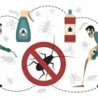 La imagen 3 de la Empresa MORENA Servicios Profesionales y de Negocios en Xalapa VER