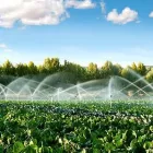 La imagen 1 de la Empresa MOTO ASPERSIÓN DE NAYARIT SA DE CV Sistemas y Equipos de Riego en Tepic NAY