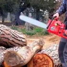 La imagen 3 de la Empresa MOTOSIERRAS Y SERVICIO DEL PUERTO Maquinaria, Equipos y Servicios en Puerto Escondido OAX