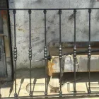 La imagen 16 de la Empresa MRC MANTENIMIENTO Y SEGURIDAD RESIDENCIAL Y COMERCIAL Servicios Profesionales y de Negocios en Valle De Bravo MEX