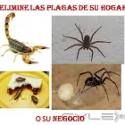 La imagen 1 de la Empresa MULTISERVICIOS Servicios Profesionales y de Negocios en Hermosillo SON