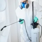 La imagen 1 de la Empresa MULTISOLUCIONES Servicios Profesionales y de Negocios en Gómez Palacio DUR