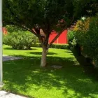 La imagen 1 de la Empresa NATURA ESPACIOS VERDES Servicios Profesionales y de Negocios en Chihuahua MEX