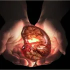 La imagen 1 de la Empresa NEFROLOGO EN COLIMA Salud y Medicina en Cuauhtemoc CHH