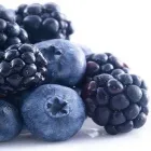 La imagen 3 de la Empresa NUTRICIÓN CLÍNICA Salud y Medicina en Mexicali BCN