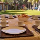 La imagen 1 de la Empresa PALAPA KIDS TERRAZA EVENTOS INFANTILES en Zapopan JAL