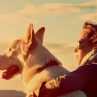 La imagen 2 de la Empresa PARAI ZOO I II CREMATORIO MASCOTAS Salud y Medicina en Xalapa VER