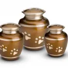 La imagen 3 de la Empresa PARAI ZOO I II CREMATORIO MASCOTAS Salud y Medicina en Xalapa VER