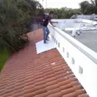 La imagen 4 de la Empresa PASA HUAYACAN Inmobiliaria y Reformas en Cancún ROO