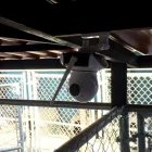 La imagen 2 de la Empresa PENSION Y ESTETICA CANINA STITCH Tiendas de mascotas en Tijuana BCN