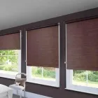 La imagen 3 de la Empresa PERSYM Servicios Profesionales y de Negocios en Ciudad Cuauhtémoc CHH