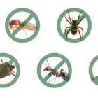 La imagen 2 de la Empresa PEST OUT CONTROL Servicios Profesionales y de Negocios en Juarez NLE