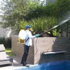 La imagen 3 de la Empresa PEST OUT CONTROL Servicios Profesionales y de Negocios en Juarez NLE