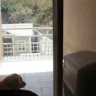 La imagen 3 de la Empresa PET ENTERTAINMENT CENTER Tiendas de mascotas en Cuernavaca MOR