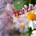 La imagen 5 de la Empresa PHOTOSYNTHESIS Sistemas y Equipos de Riego en Chalco De Díaz Covarrubias MEX