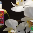 La imagen 8 de la Empresa PHOTOSYNTHESIS Sistemas y Equipos de Riego en Chalco De Díaz Covarrubias MEX