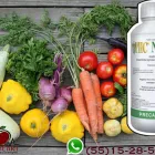 La imagen 12 de la Empresa PHOTOSYNTHESIS Sistemas y Equipos de Riego en Chalco De Díaz Covarrubias MEX