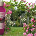 La imagen 18 de la Empresa PHOTOSYNTHESIS Sistemas y Equipos de Riego en Chalco De Díaz Covarrubias MEX