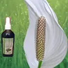 La imagen 20 de la Empresa PHOTOSYNTHESIS Sistemas y Equipos de Riego en Chalco De Díaz Covarrubias MEX