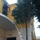 La imagen 3 de la Empresa PINTURA ACABADOS Y MANTENIMIENTO Pinturas, Accesorios y Servicios en Ciudad De México CMX