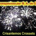 La imagen 25 de la Empresa PIROESPECTACULAR Organización y Realización de Fiestas y Eventos en Ciudad De México CMX