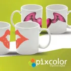 La imagen 1 de la Empresa PIXCOLOR - IMPRESION DIGITAL Servicios Profesionales y de Negocios en Cuernavaca MOR