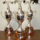 La imagen 2 de la Empresa PLACAS Y TROFEOS CURIEL Deportes y Recreación en Ciudad De México CMX