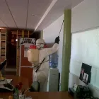 La imagen 1 de la Empresa PLAGA FIN Servicios Profesionales y de Negocios en Fresnillo ZAC