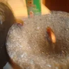 La imagen 3 de la Empresa PLAGEX FUMIGACIONES Y CONTROL DE PLAGAS Servicios Profesionales y de Negocios en Monterrey NLE